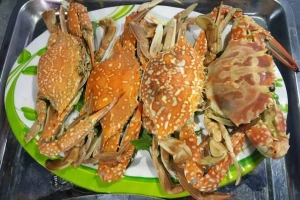 Hà Huy - Lẩu & Nướng Hải Sản Tươi Sống