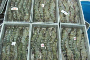 Hải Sản Nghệ Tĩnh - Shop Online