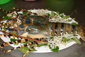 Quán Ăn Hải Sản Nha Trang Bờ Kè