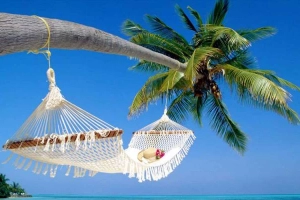 Hải Sơn Việt Travel