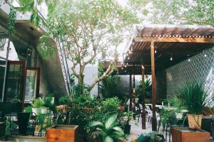 Half Full - Bistro & Cafe - Times City