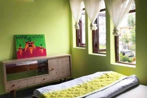 Hana House Đào Duy Từ
