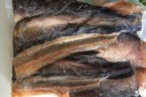 Quán Ăn Hàu Thiện Cần Giờ