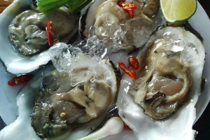 Quán Ăn Hàu Tươi Sống - Triệu Việt Vương