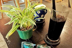 HD Gia Lai Coffee - Nguyễn Viết Xuân