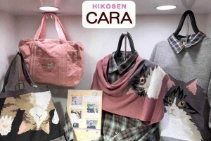 Hikosen Cara - Hùng Vương Plaza