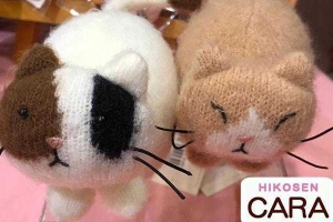 Hikosen Cara - Maximax Ba Tháng Hai