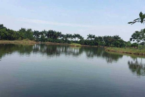 Hồ Câu Tuấn Tú