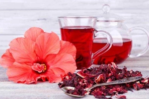 Hoa Bụp Giấm Tươi – Trà Hibiscus - Shop Online