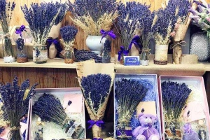 Hoa cưới, shop hoa Hoa Oải Hương Lavender