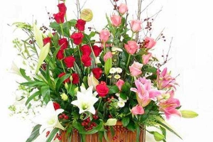Hoa cưới, shop hoa Hoa Tươi Hoa Voan - Tuyết Nhung