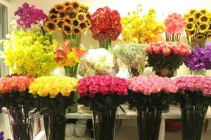 Hoa cưới, shop hoa Sky Flowers
