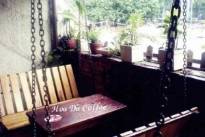 Hoa Đá Cafe