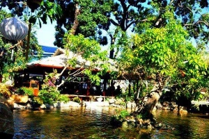 Cafe Hoa Đồng Nội Nha Trang