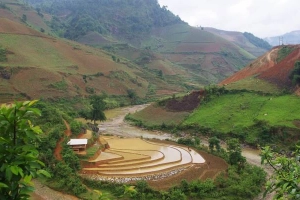 Hòa Linh Homestay Bản Thái