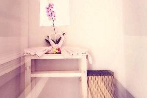 Hoa Mộc Lan Spa