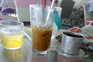Hoa Phượng Đỏ Cafe
