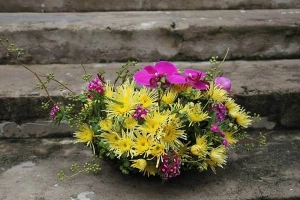 Hoa Sáp Flower Time