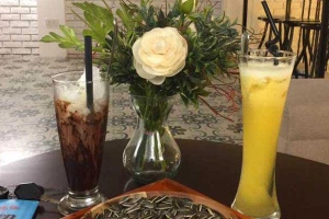 Hoàng Phúc Gia Lai Coffee