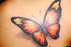 Hoàng Sơn Tattoo - Nguyễn Trãi
