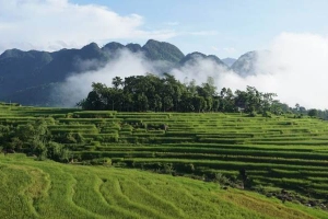Hoanh Homestay - Pù Luông