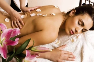 Học Viện Đào Tạo Thẩm Mỹ Vivian Qa