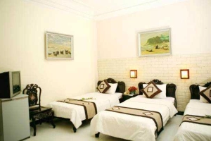 Hotel Du Centre Ville - Lương Ngọc Quyến