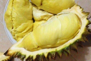 Hương Giang - Sầu Riêng Rụng - Shop Online