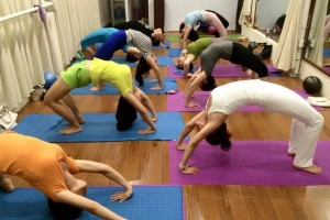 Hymalaya Yoga