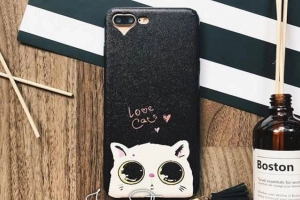 Jun Store Case