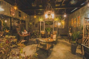 Jungle Coffee