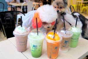 Ken’s House - Coffee & Pet