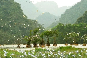 Khu Bảo Tồn Thiên Nhiên Vân Long
