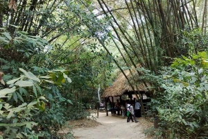 Khu Di Tích Lịch Sử Địa Đạo Củ Chi