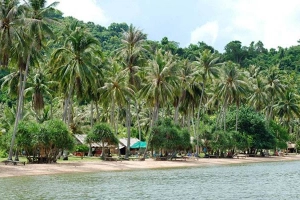 Khu Du Lịch Đảo Thỏ