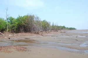 Khu Du Lịch Hồ Bể
