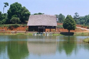 Khu Du Lịch Măng Đen