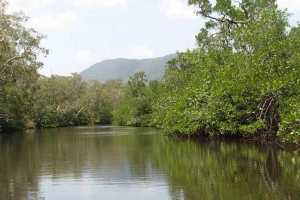 Khu Du Lịch Rạch Tràm