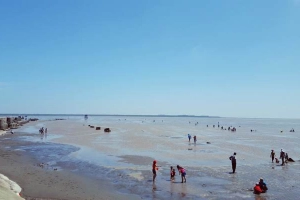 Khu Du Lịch Sinh Thái Biển Cồn Cống