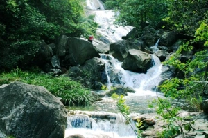 Khu Du Lịch Sinh Thái Suối Mơ