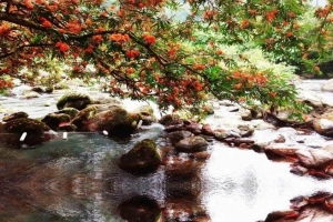 Khu Du Lịch Suối Nước Moọc