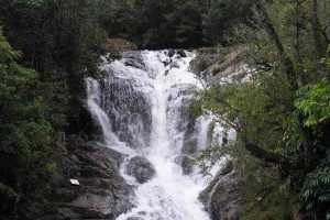 Khu Du Lịch Thác Đatanla