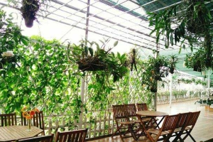 Khu Du Lịch Trang Trại Rau & Hoa
