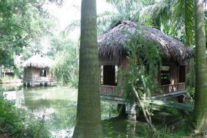 Khu Sinh Thái Phương Nam