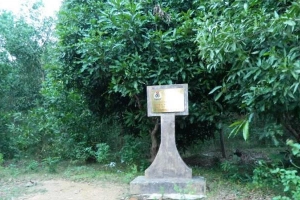 Khu Sinh Thái Suối Tiên