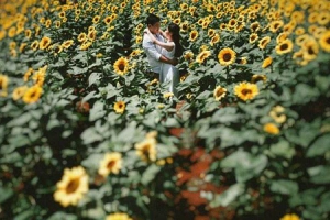 Kim Ơi Wedding & Events - Đường Số 3