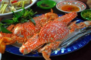 Kỳ Loan - Nhà Hàng Hải Sản