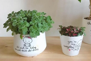 Lá Lảu - Núi Trúc