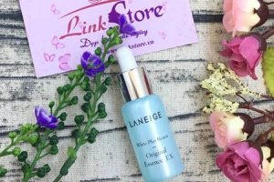 Link Store