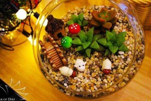 Lọ Cát - Jar of Dirt